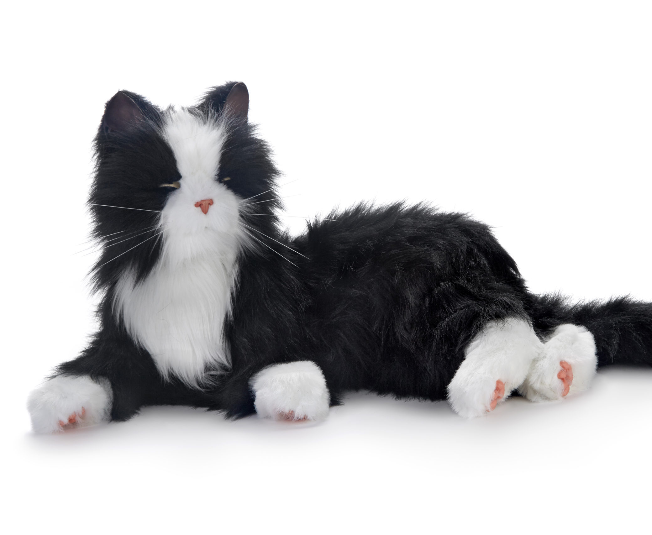 Joy for all Ageless Innovation Companion Pet - Tuxedo Cat | Memory ...