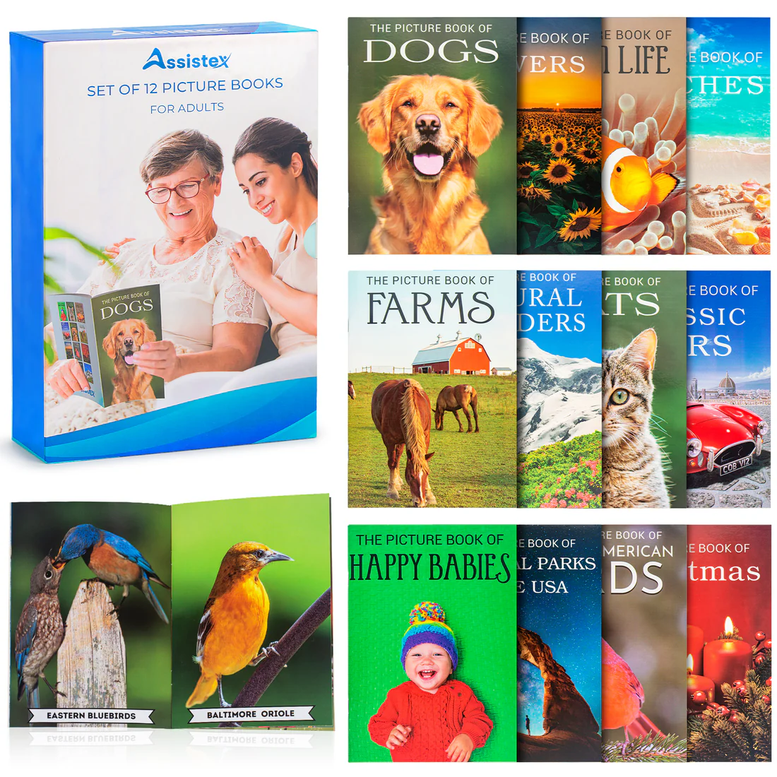 Picture Book Set - 12 Books - Memory Matters NZ